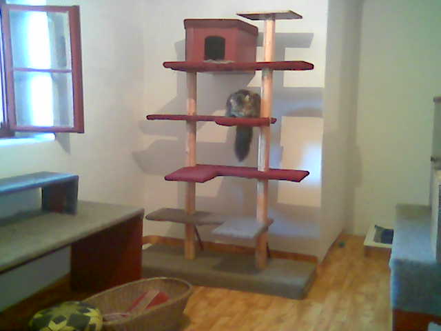 apartmá grey garsonka.jpg