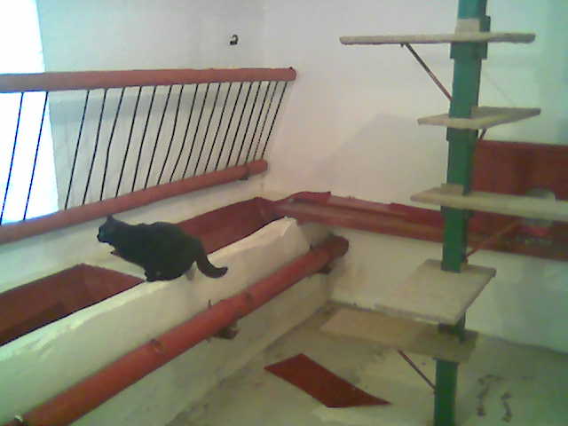 apartmá ex-stáje čiki2.jpg