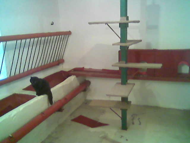 apartmá ex-stáje čiki.jpg