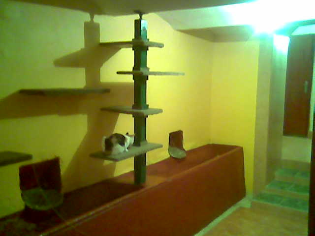 APARTMÁ ŽLUTÉ1.jpg