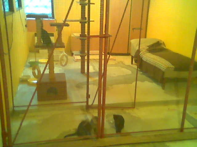 apartma kojenci.jpg