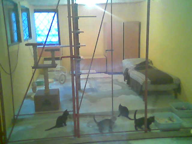 apartma kojenci 2.jpg