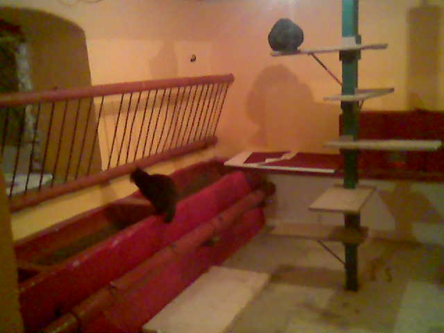apartma5.jpg