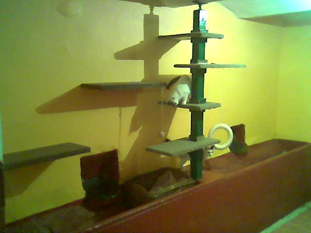 apartma zlute 5.jpg