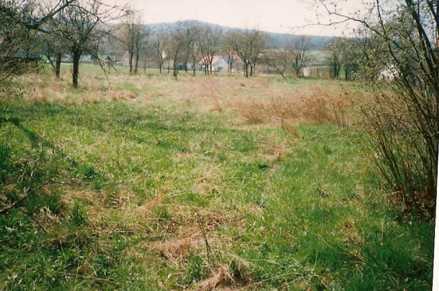 zahrada 3000 m2.jpg
