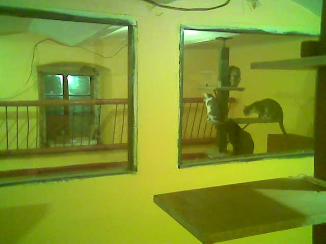 apartma sek1.jpg