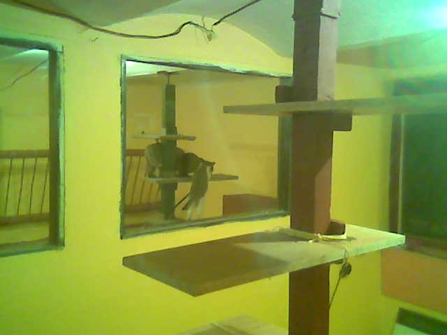 apartma sek3.jpg