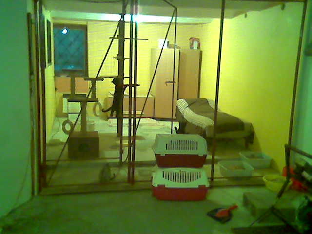 apartma prepr.jpg