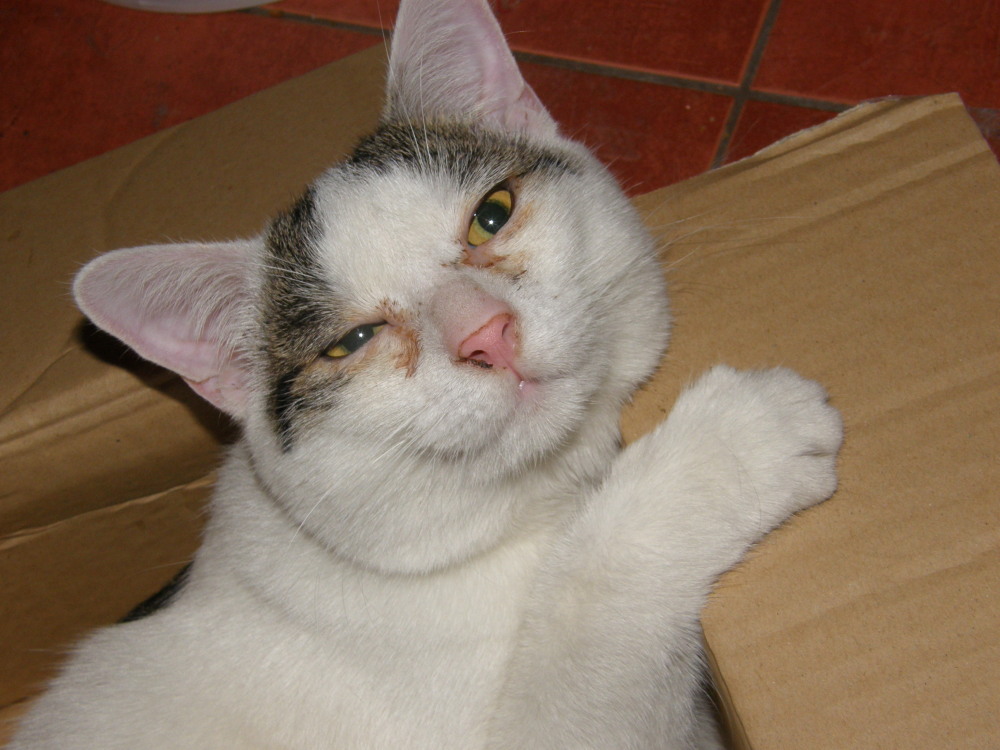 MIKIN3.jpg
