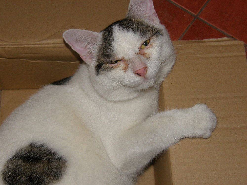 MIKIN1.jpg