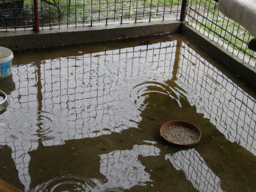 POTOPA8.jpg