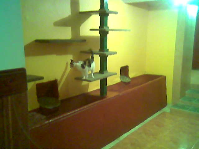 APARTMÁ ŽLUTÉ3.jpg